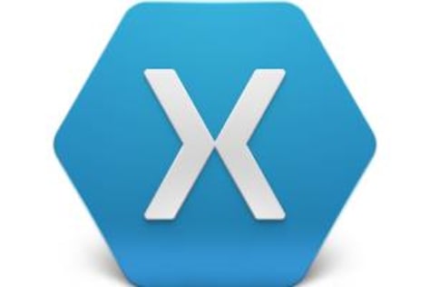 Xamarin Hybrid app Expert